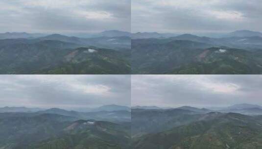 广西柳州万亩茶园清晨雾天航拍高清在线视频素材下载