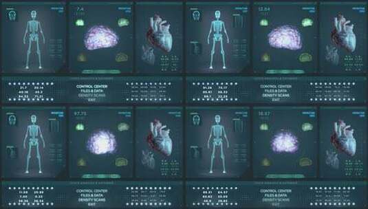 生物HUD X射线与3D心脏和大脑。3D高清在线视频素材下载