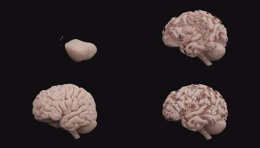 Brain Builder认知功能学习高清在线视频素材下载