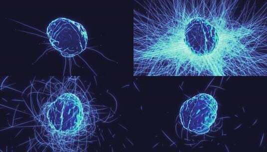 蓝色3D渲染大脑结构带神经特效高清在线视频素材下载