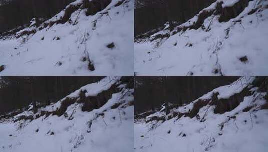 冬天 冬季 寒冷 凄凉 冷漠高清在线视频素材下载