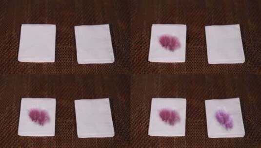 纸巾上的花青素酸碱变色实验高清在线视频素材下载