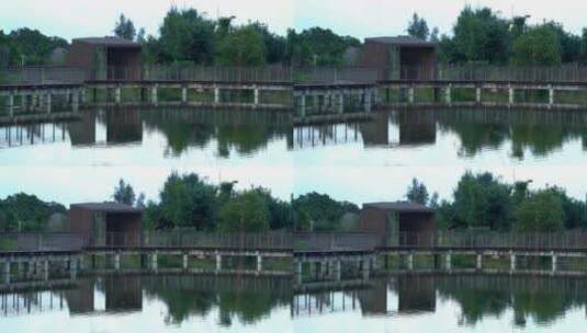 水倒影树木观景长廊深圳坝光银叶树湿地园高清在线视频素材下载