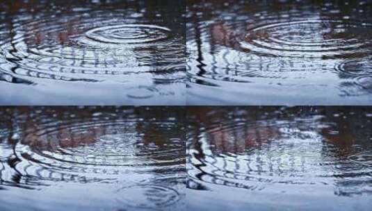 雨滴落在水坑上高清在线视频素材下载