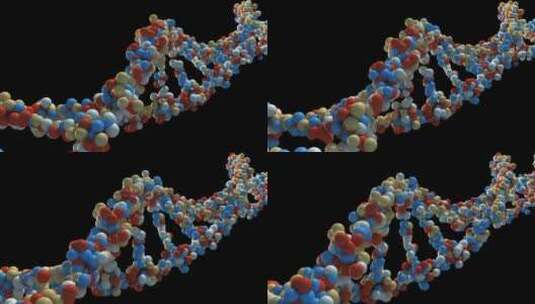 病毒 细胞 细菌 dna 螺旋高清在线视频素材下载