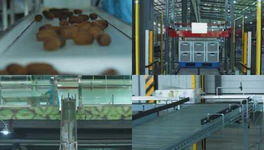 猕猴桃加工厂高清在线视频素材下载
