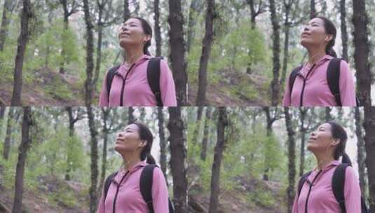 中国人女人树林徒步旅游拍照视频对话看风景高清在线视频素材下载