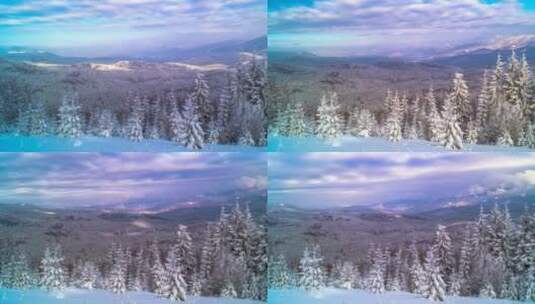 冬山森林景观高清在线视频素材下载
