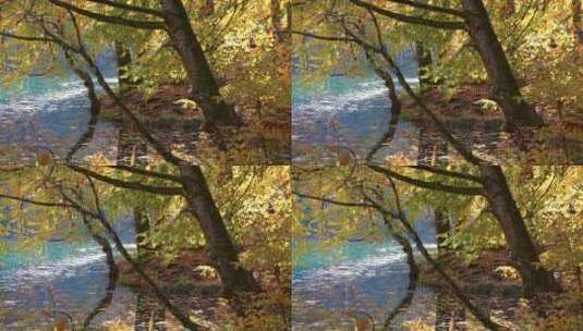 秋天的蓝色湖泊和森林高清在线视频素材下载