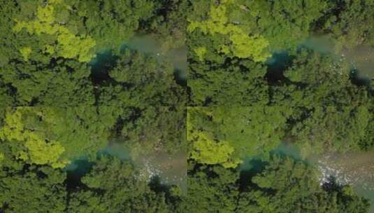 溪流树林航拍  2.7k60帧高清在线视频素材下载