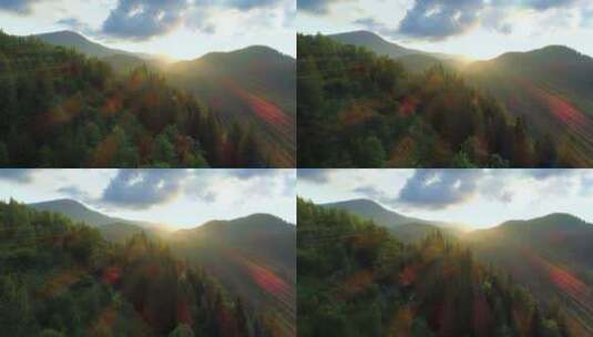夕阳照耀下的山脉和森林高清在线视频素材下载
