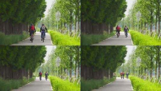 绿道骑行骑车自行车高清在线视频素材下载