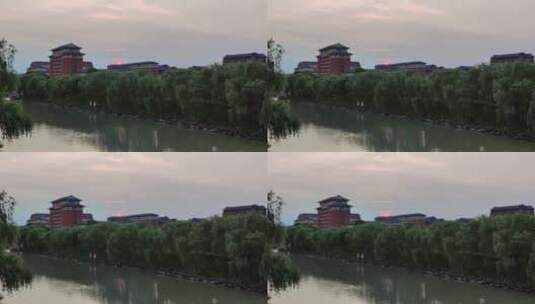 唯美大学校园夏日黄昏夕阳飞鸟自然和谐场景高清在线视频素材下载