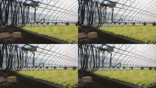 水培蔬菜  无土栽培  喷淋设施高清在线视频素材下载