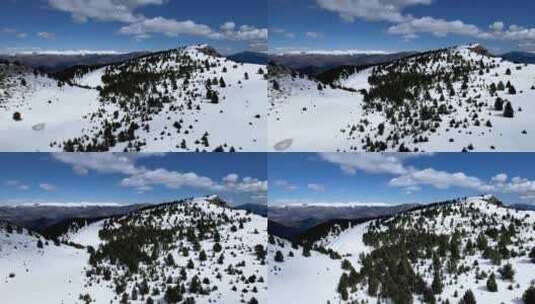 航拍森林雪景景观高清在线视频素材下载