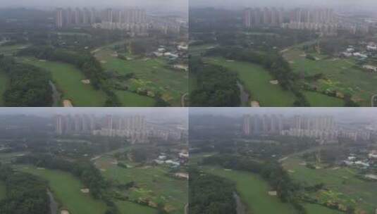 航拍深圳龙华区观澜高尔夫球场高清在线视频素材下载