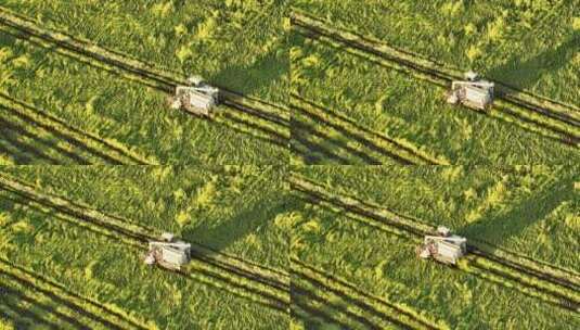 收割机割稻子丰收机械化生产高清在线视频素材下载