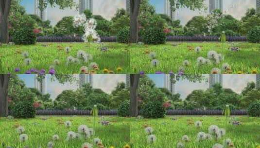 唯美蒲公英植物生长三维镜头高清在线视频素材下载