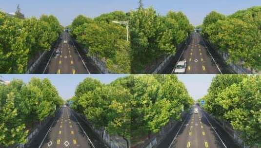 5k城市马路绿色生态航拍高清在线视频素材下载