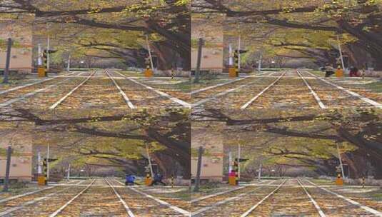 中国哈尔滨儿童公园秋景高清在线视频素材下载