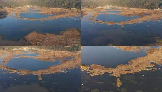 航拍云南腾冲北海湿地高清在线视频素材下载