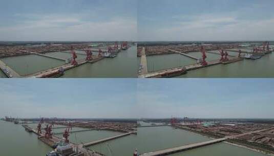 太仓港原木堆场木材港口高清在线视频素材下载