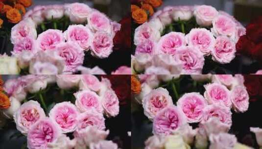 一束粉色玫瑰花特写移动镜头高清在线视频素材下载