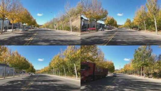4K实拍第一视角开车行驶在林荫道路上高清在线视频素材下载