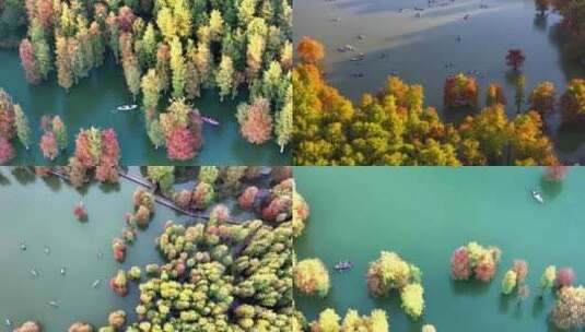 杭州临安青山湖水杉林秋季风光航拍合集高清在线视频素材下载