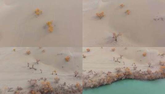 航拍秋天的新疆葫芦岛风景高清在线视频素材下载