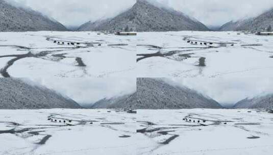 西藏林芝巴松措，雪地森林和牦牛的航拍风光高清在线视频素材下载