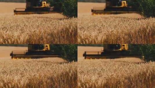 农业机械收割麦子高清在线视频素材下载
