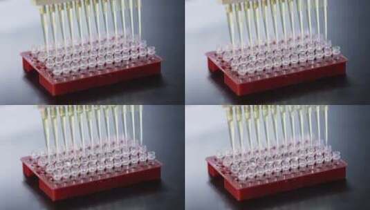 生物化学实验室移液器做实验高清在线视频素材下载