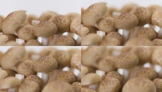 生鲜绿色生态蟹味菇展示高清在线视频素材下载