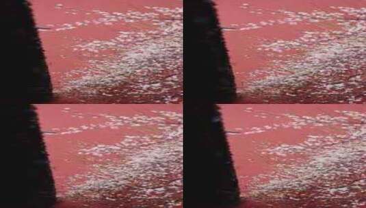 红墙白梅屋檐雨水滴落唯美慢镜头竖屏高清在线视频素材下载