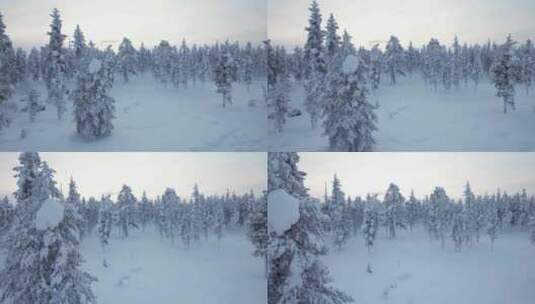 无人机飞向芬兰北极圈拉普兰的雪域森林景观高清在线视频素材下载