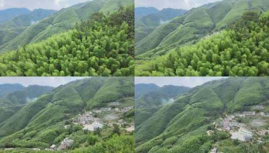 平塘马安竹海航拍 竹林森林云海高清在线视频素材下载