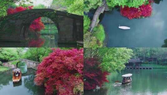 杭州花圃春色高清在线视频素材下载