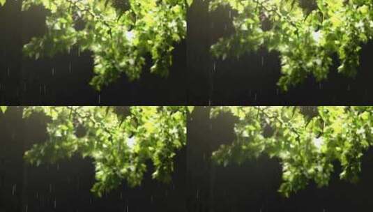 城市夏季雨天降水唯美空镜头高清在线视频素材下载