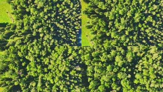 新疆喀纳斯风景HDR航拍高清在线视频素材下载