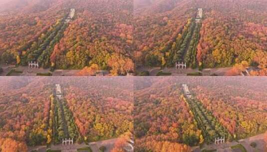 南京钟山风景区中山陵秋景高清在线视频素材下载