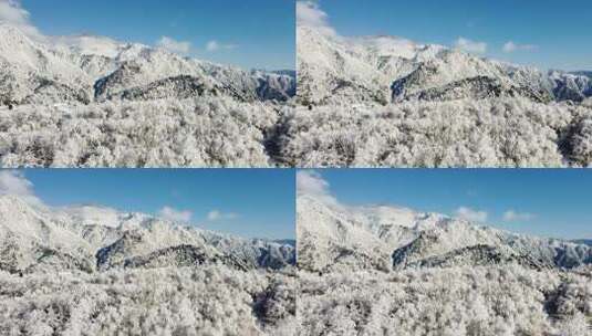 西岭雪山 雪景 大雪覆盖的自然风光 航拍高清在线视频素材下载