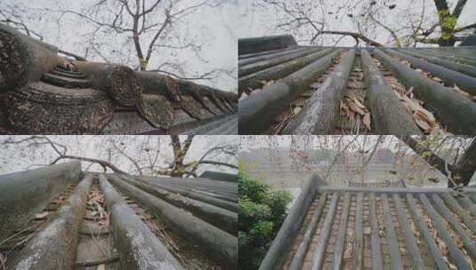 唯美意境岭南特色古建筑旁盛开的百年木棉花高清在线视频素材下载