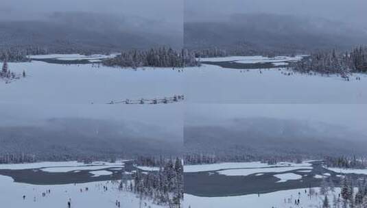 冬季森林雪地人群活动景象高清在线视频素材下载