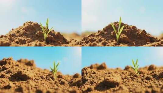土壤中新生的绿色植物高清在线视频素材下载