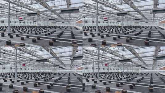 现代农业温室育苗车间高清在线视频素材下载