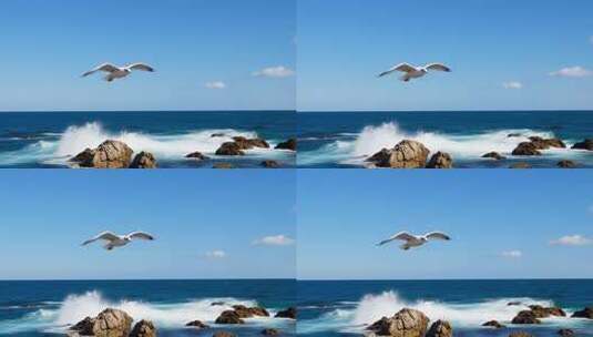 海面上飞翔的海鸥与浪花高清在线视频素材下载