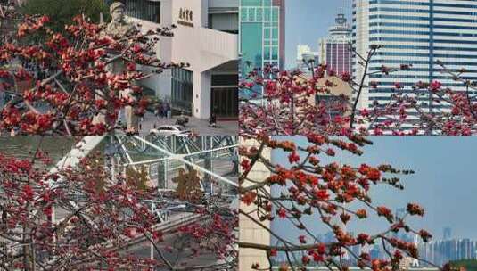 广州宾馆前木棉花与雕像景观高清在线视频素材下载