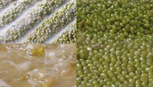 绿豆豆子农业五谷粗粮杂粮粮食农产品农作物高清在线视频素材下载
