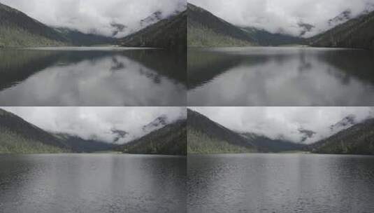 4k超清川西高原航拍湖泊牧场山谷牛群马匹高清在线视频素材下载